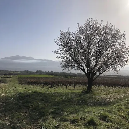 Maison Drome Provencale Sur Terrain 1500 M2 Entierement Clos